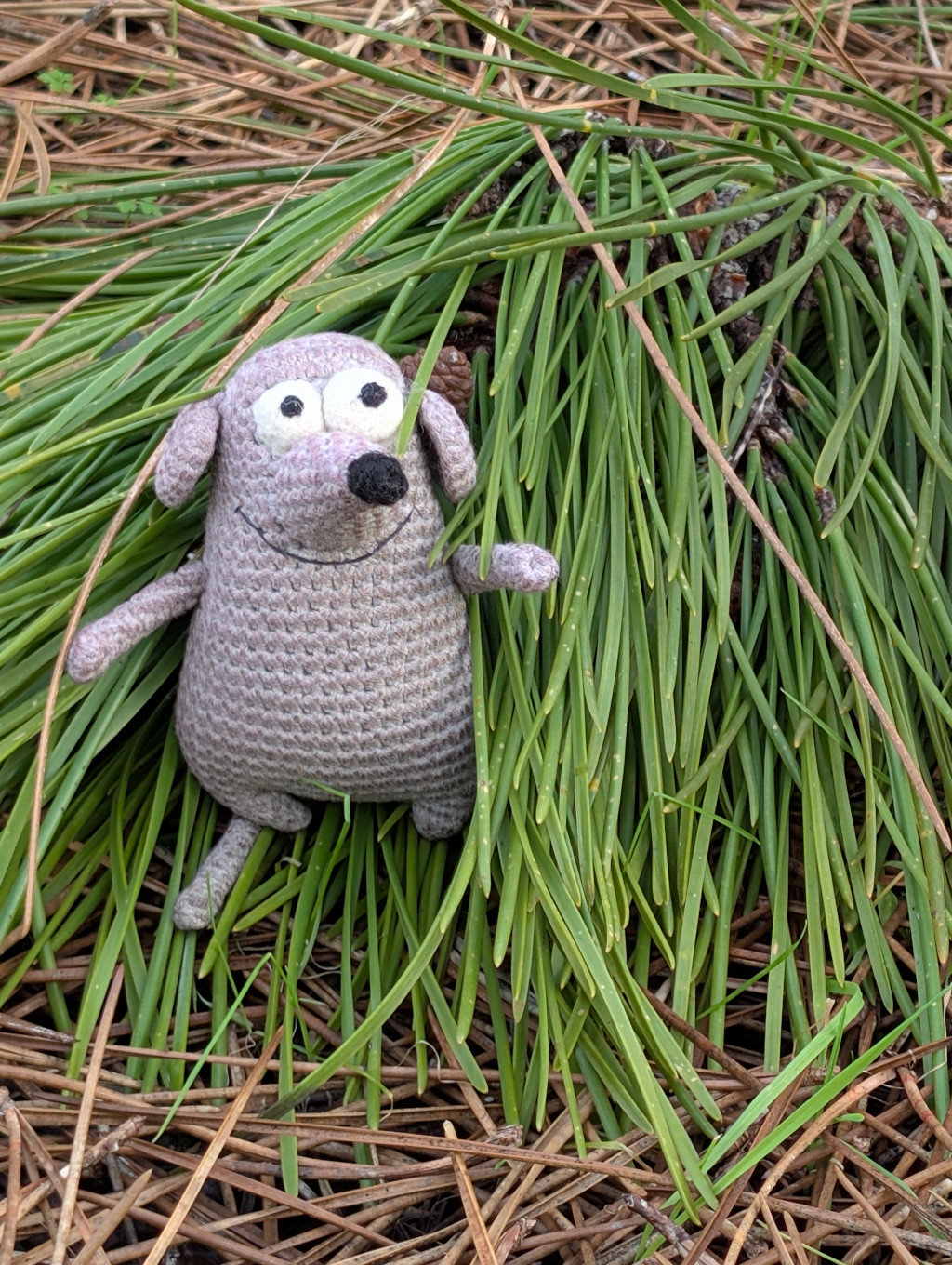 O'Mysh and the Fresh Pine Needle